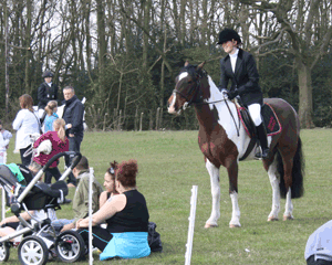 Horse Show at Johnson Brothers